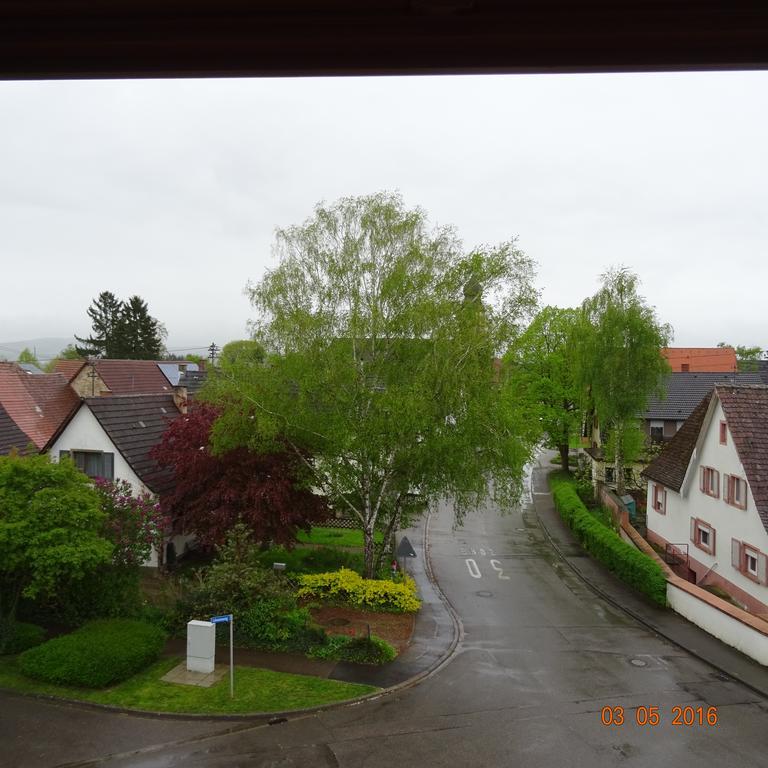 Hotel Einstein Bad Krozingen Zewnętrze zdjęcie